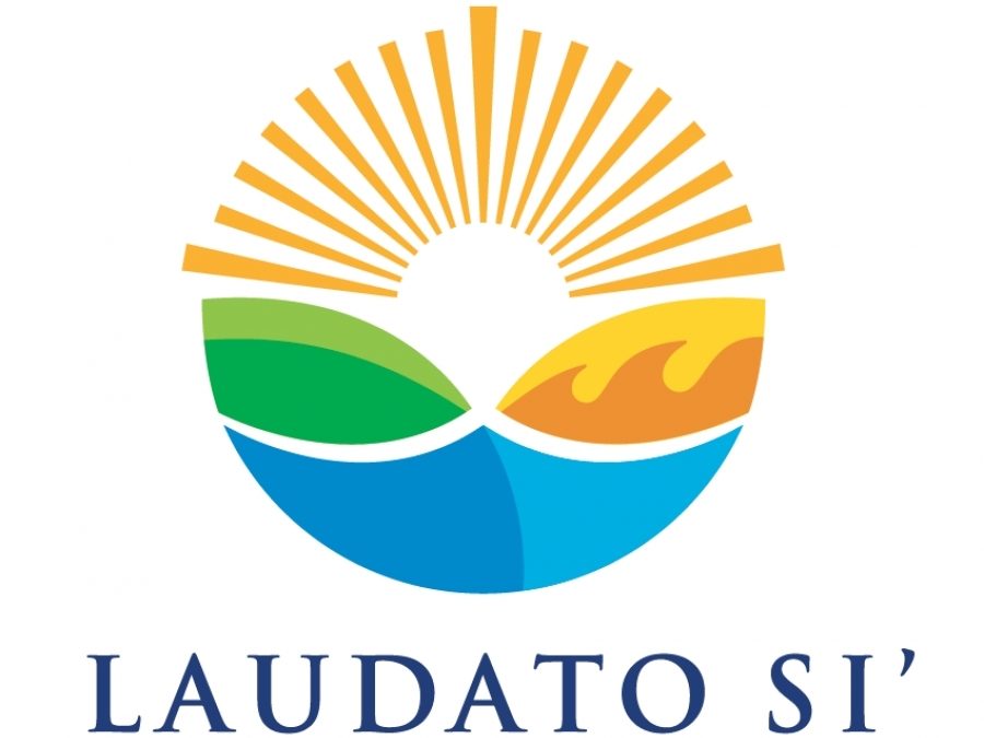Laudato Si': Commentary, highlights, reaction to Pope Francis' new encyclical