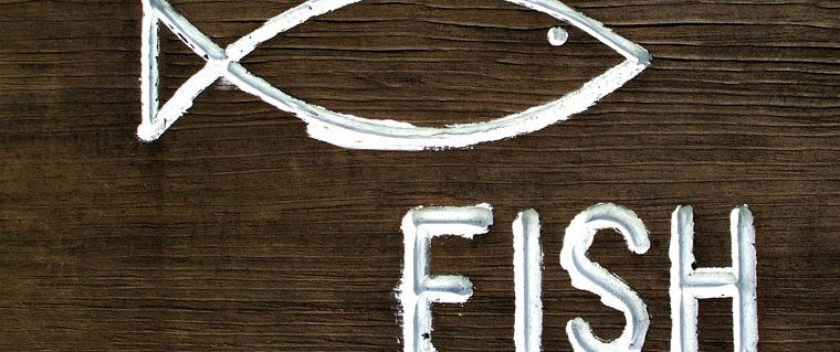 fishcrop-e1487779754629