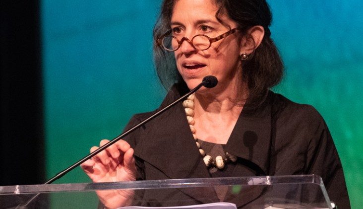 NAPA INSTITUTE CALIFORNIA HELEN ALVARE