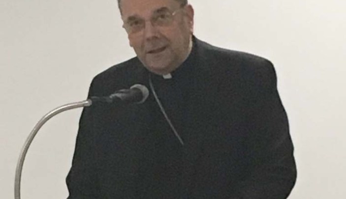 DPC discusses abuse, reconfiguration, diaconate