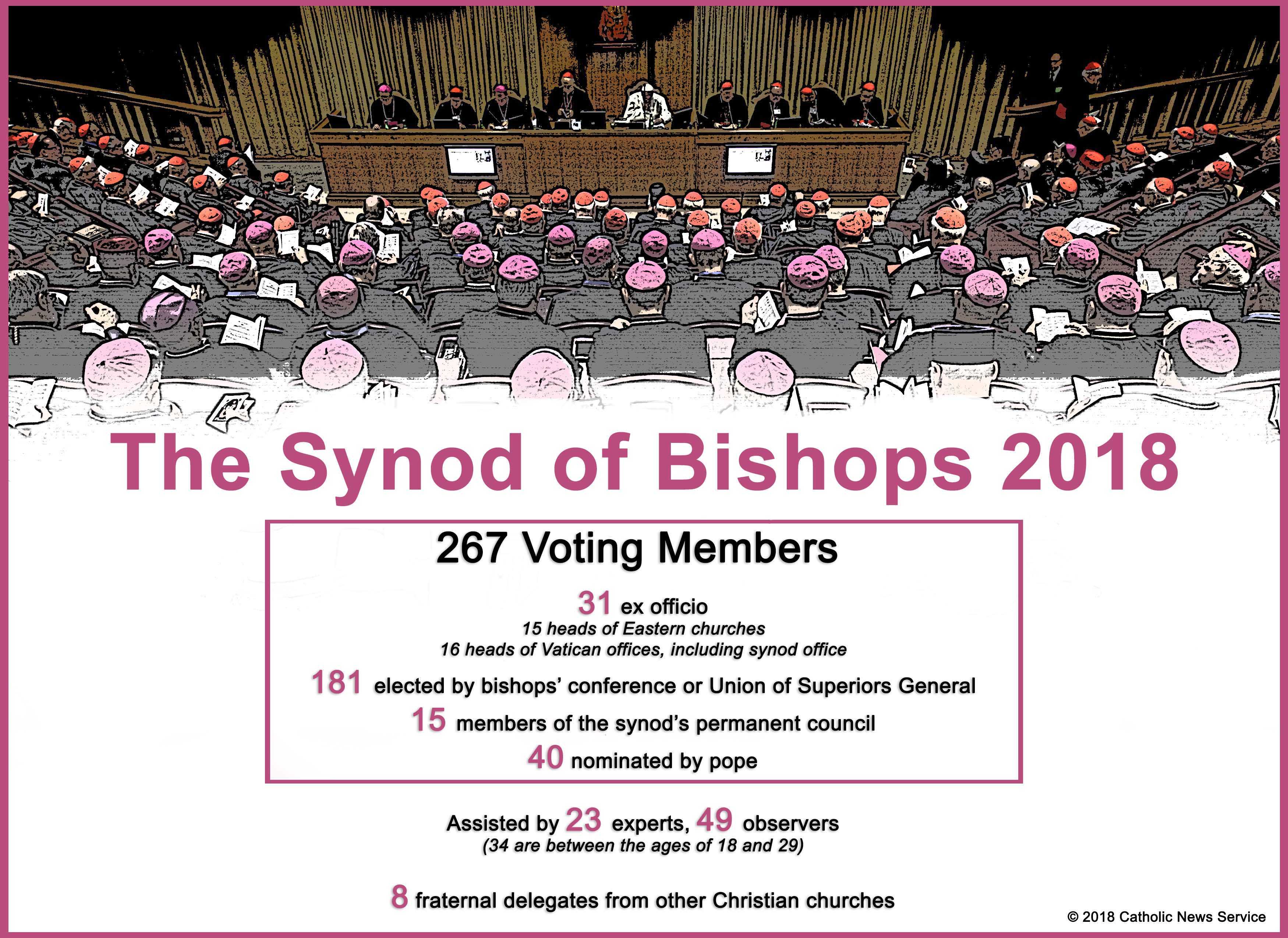 GRAPHIC SYNOD PARTICIPANTS