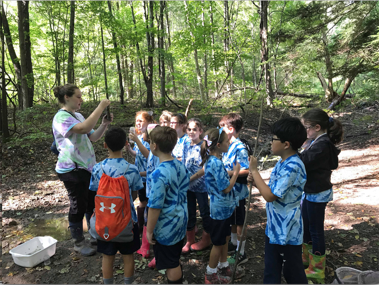 IC students hit the woods