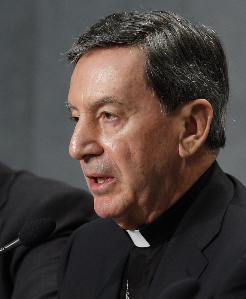 Clericalism, abuse of power, at heart of sex abuse crisis, cardinal says