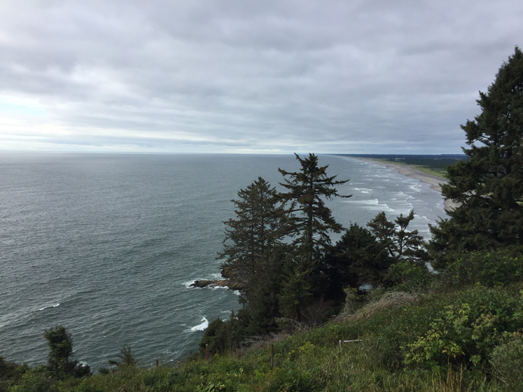 Repent, convert, pray, give up fossil fuels, pope says