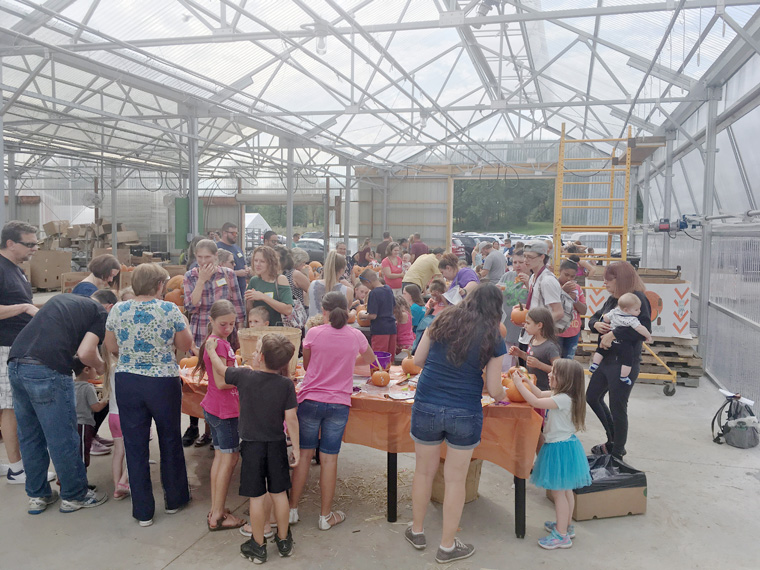 North Star Orchards