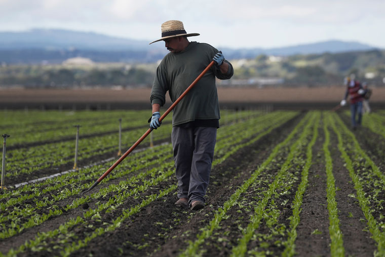 Advocates call attention to pandemic’s wrath on ‘essential’ farmworkers