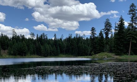 Pope confirms ‘second Laudato Si” will be an apostolic exhortation