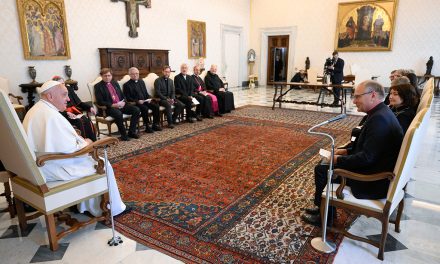 Mission of ecumenism is to be witnesses for Christ, pope says