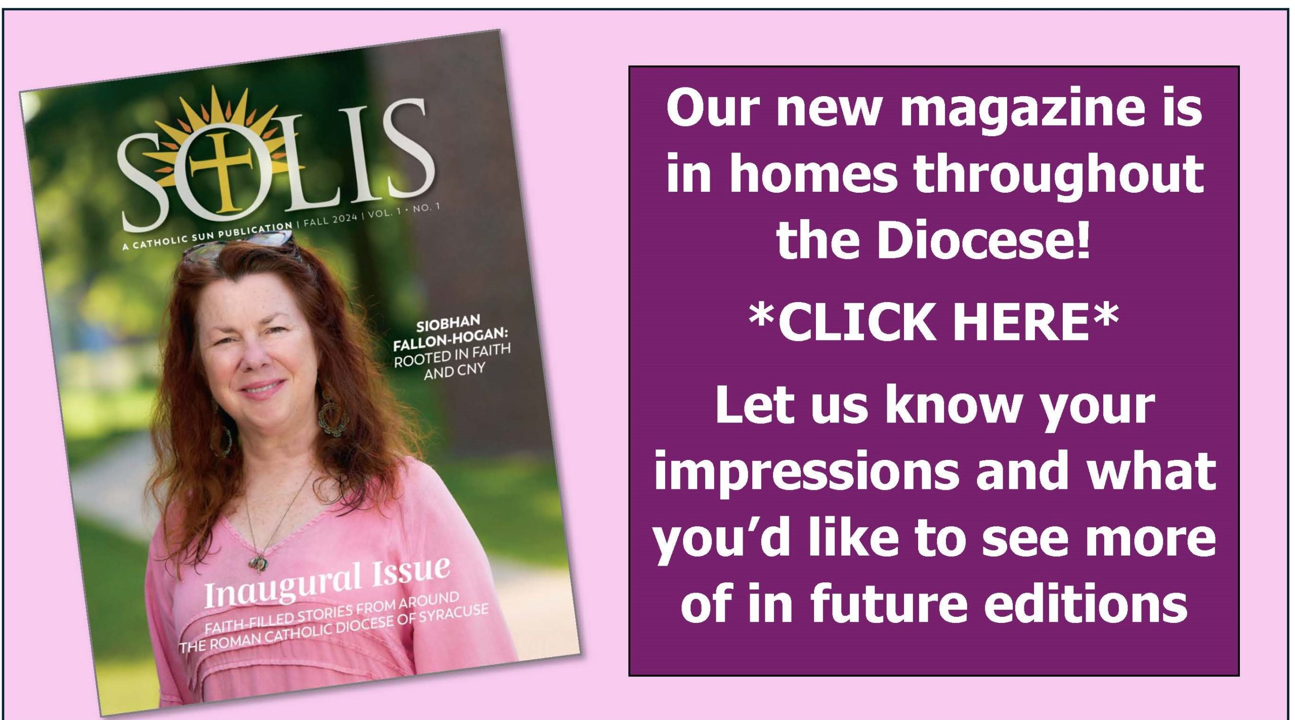 Solis web home page linkcr