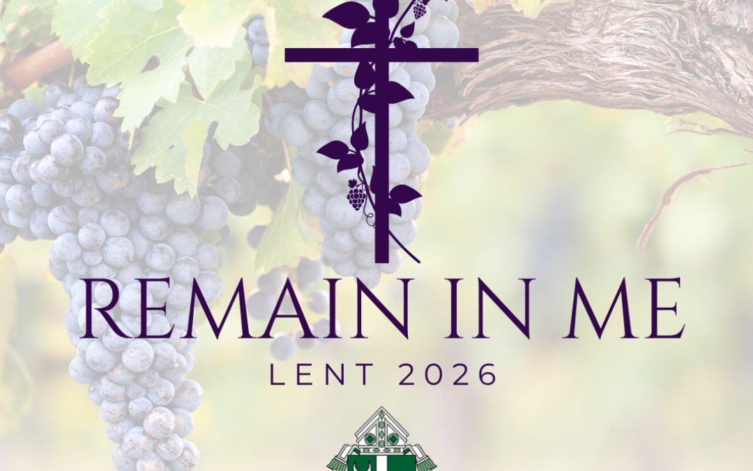 Hold on to God’s Word