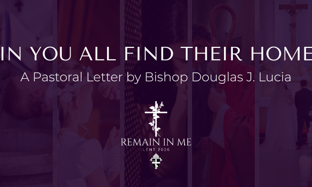 A pastoral message from Bishop Lucia