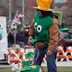 Handler and dog also enjoy Syracuse’s St. Patrick’s Parade. (Sun photo | Chuck Wainwright)