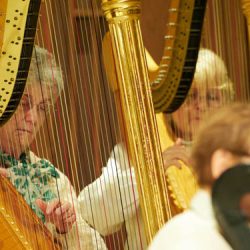 Harp music enhances the March 16 Mass at the Cathedral of the Immaculate Conception in Syracuse. (Sun photo | Chuck Wainwright)